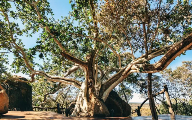 Wild & Free Game Lodge