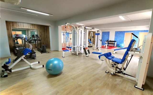 Отель Gaia Palace