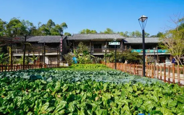 Little Hakka Hotel