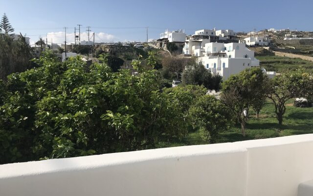 Garden Apartment