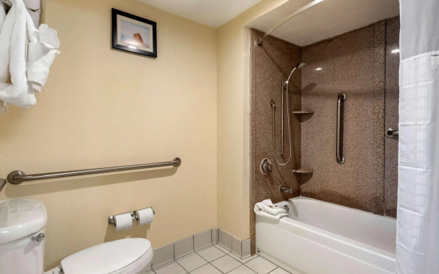 Comfort Inn Kissimmee-Lake Buena Vista South