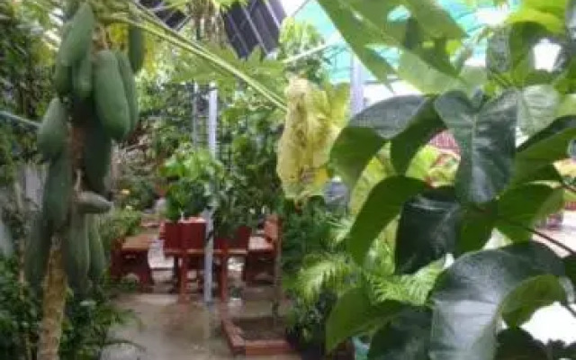 Mitapheap Guesthouse