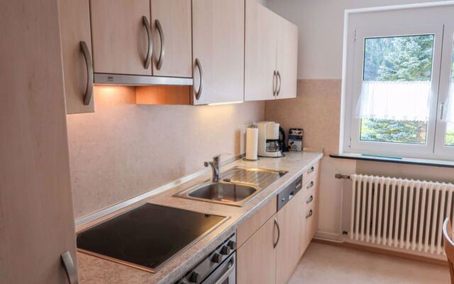 Apartment Fischer Eisenbach