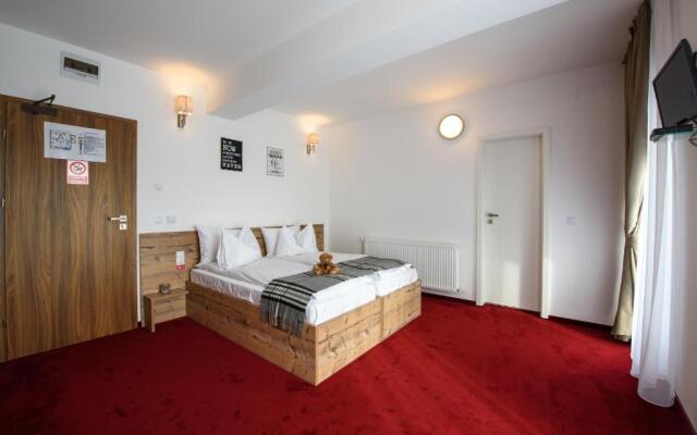 Pensiune Rara Paltinis