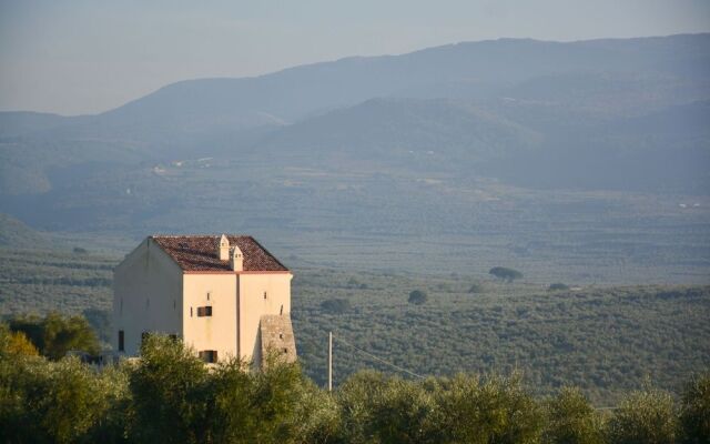 Torre Bruno