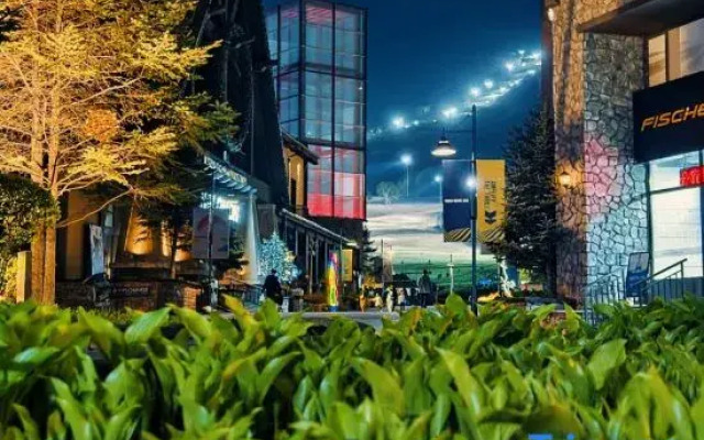 Joy Yard Apartment (Villa)