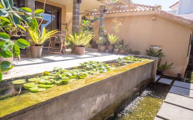 Kouriisland hotel cava