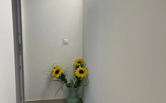 Vito Apartman