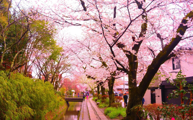 Sumiya Ryokan Kyoto