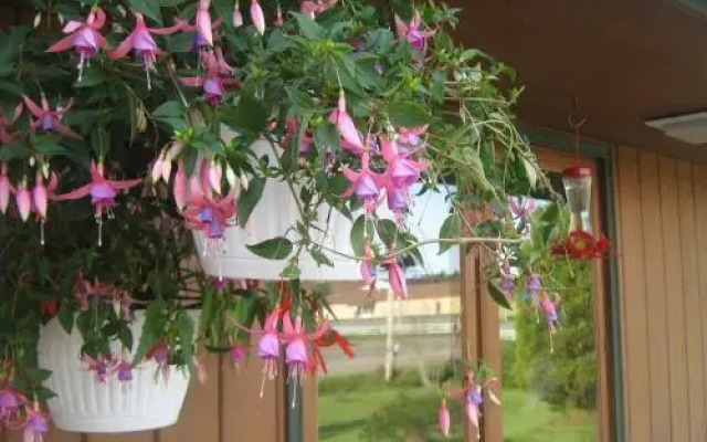 Sherbrooke Village Inn