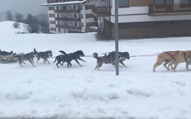 Panorama Donovaly 34-B