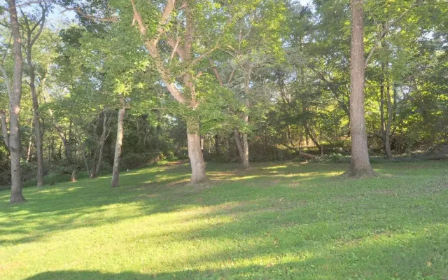 Pondview Cabin - Log Cabin Retreat