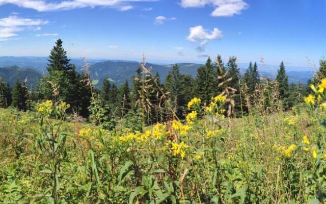 Gästezimmer & Apartment Mayrhofer