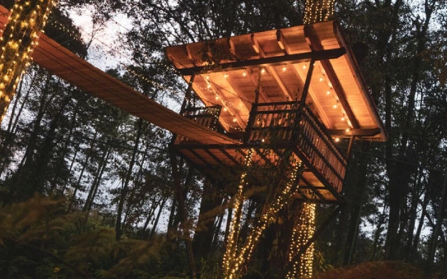 Macadamia Incredible Lodge in the Forest With Private Jacuzzi