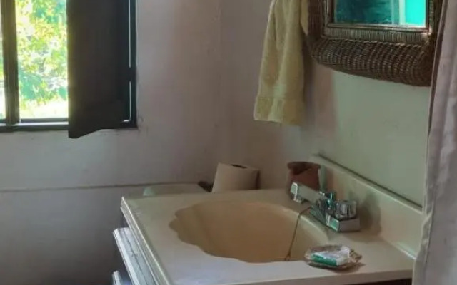 The River House