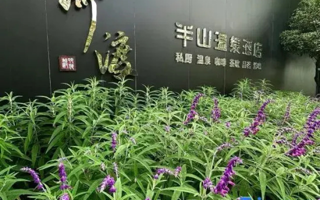 Tengchong Linghe·Dubanshan Hot Spring Hotel