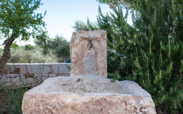 Trullo Siamese