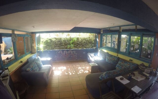 Golfinho Tropical Hostel e Pousada