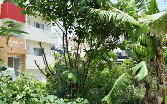 Rainbow Terrace