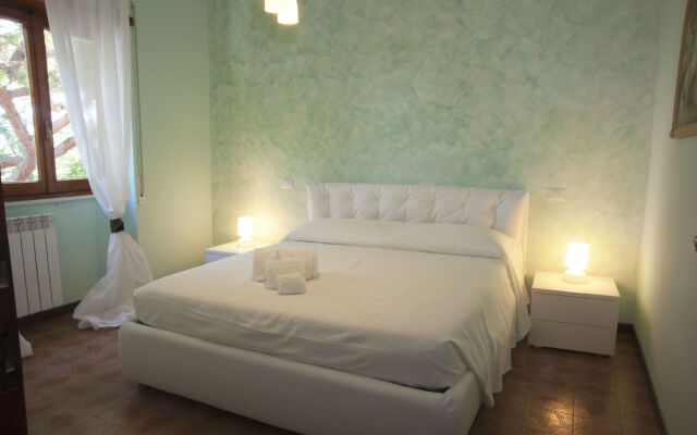Domus in Viridi