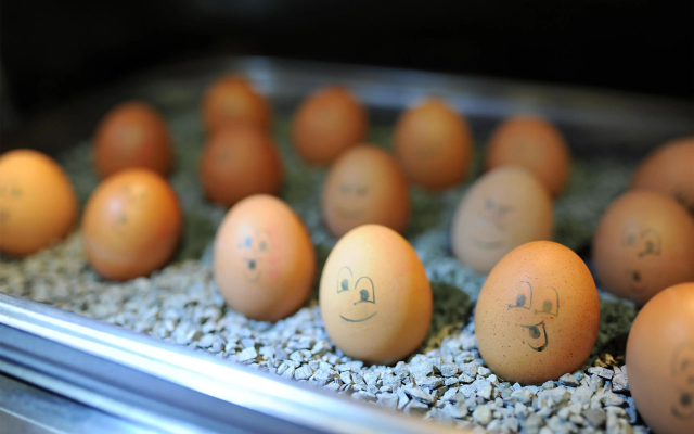 Best Western Plus Kurhotel an der Obermaintherme