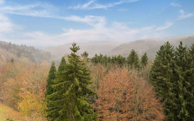 Modern Apartment in Reifferscheid With Garden