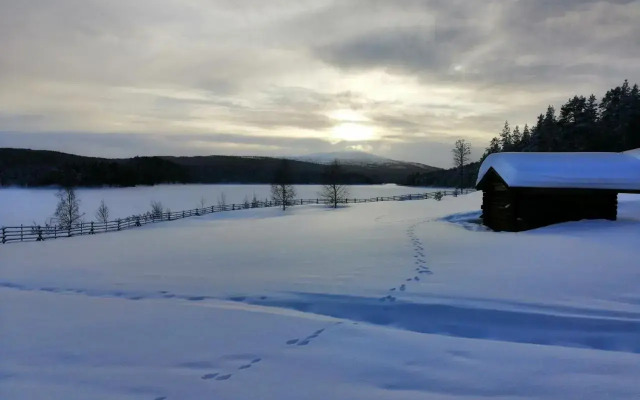 Lemmenjoki Camping EcoCabins