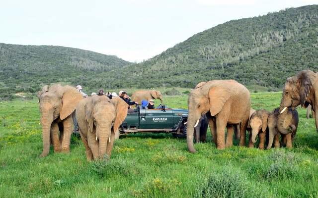 Kariega Game Reserve