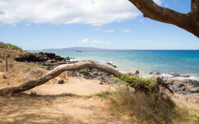 Hale Kamaole #311 - 2 Br Condo