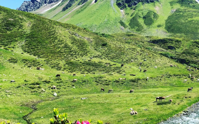 Sport-Lodge Klosters