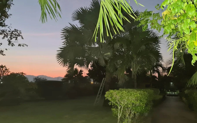 Welcome to our Oasis The Beautiful Bungalow Yellow