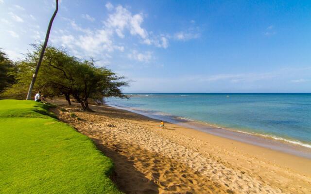 Maui Sunset B402