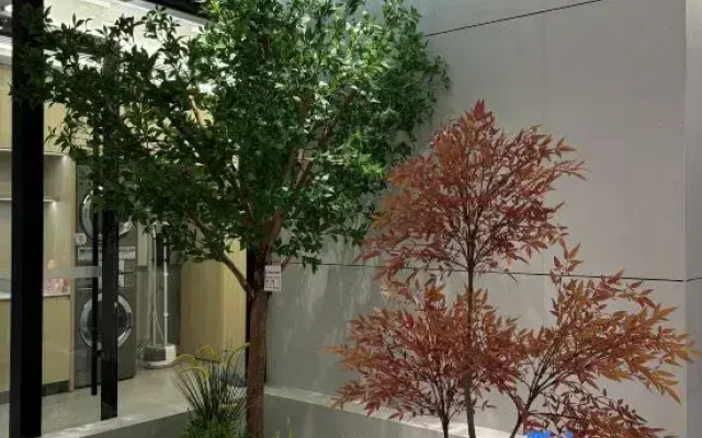 Homeinn · neo (Hejin Longgang Road)