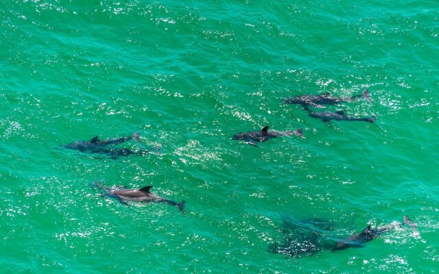 Village of South Walton E303