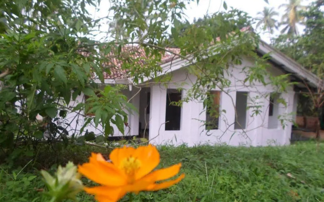 Chitra Ayurveda