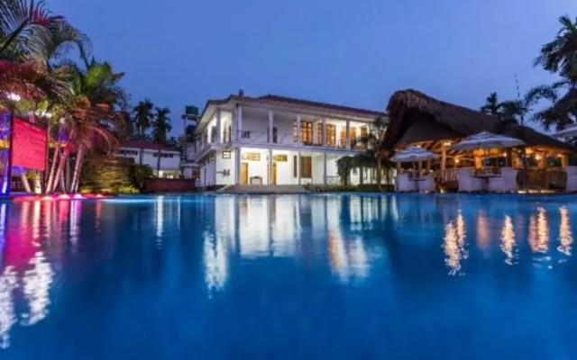 Zone Niathu Dimapur By The Park