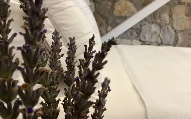 Sonef House Hotel