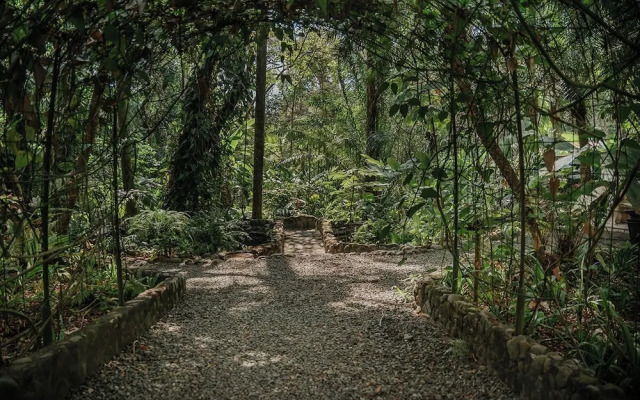 Vista Suites at Parador