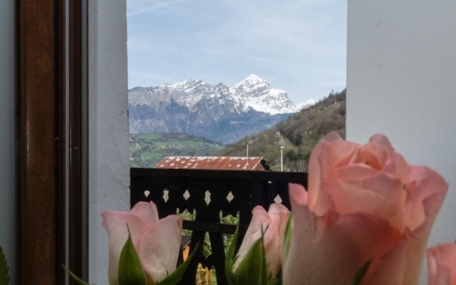 Chalet les Myrtilles