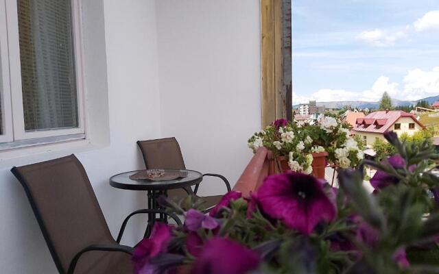 Apartment Zabljak Center