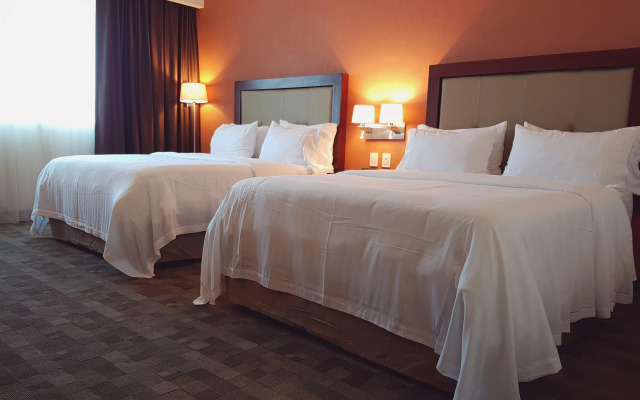 Holiday Inn Leon Plaza Mayor by IHG