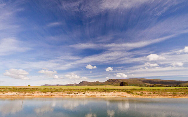 Endless Vineyards at Wildekrans Wine Estate