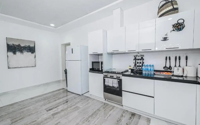 Luxury Modern White Villa on Island 9,500 sqft