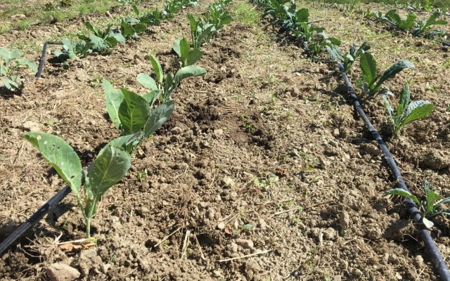 Agriturismo La Casina della Burraia