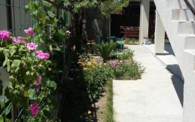 Guest house on Adleyba 146