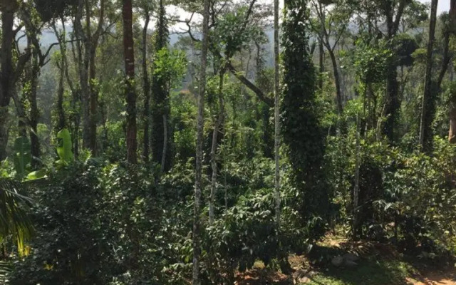 Coorg -Kunji Phad River View Homestay
