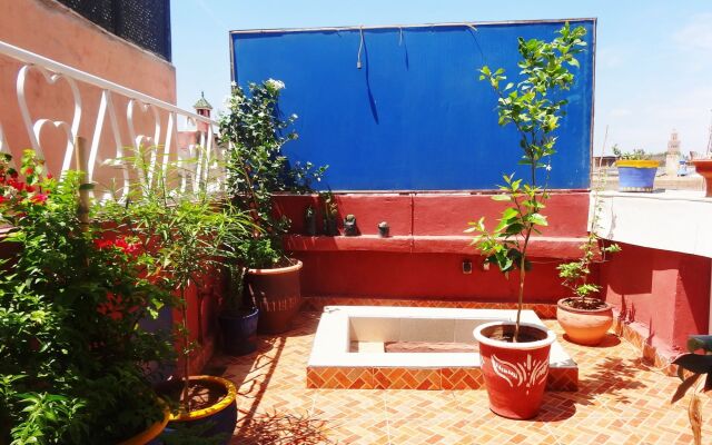 Riad Yara