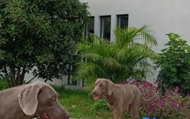 Floral Hotel · Cuntiansu Hotel