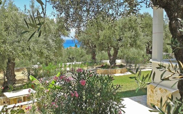 Pouliezos Koklanis Zante Apartments