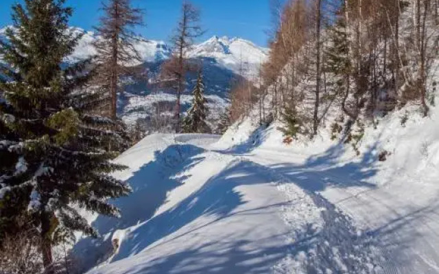 Chalet Panorama